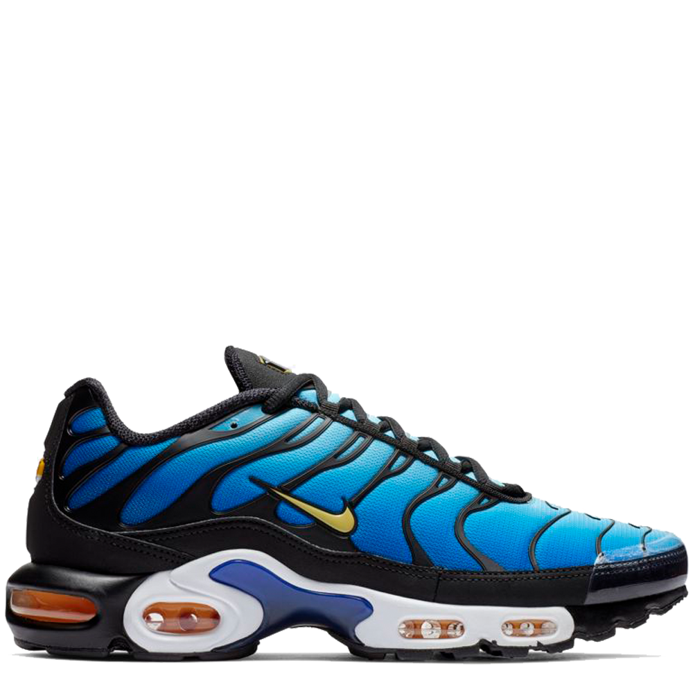 nike air max plus in blue