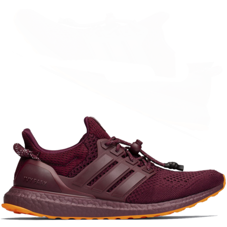 Adidas Ultraboost Ivy Park Beyonce 'Maroon' (W) (FX3163)