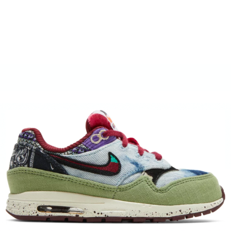 Nike Air Max 1 SP TD Concepts 'Mellow' (DR2363 300)