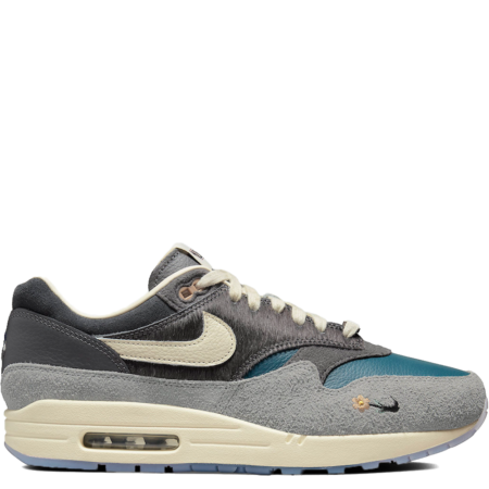 Nike Air Max 1 SP Kasina 'Won-Ang - Grey' (DQ8475 001)