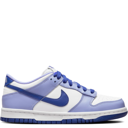 Nike Dunk Low GS 'Blueberry' (DZ4456 100)