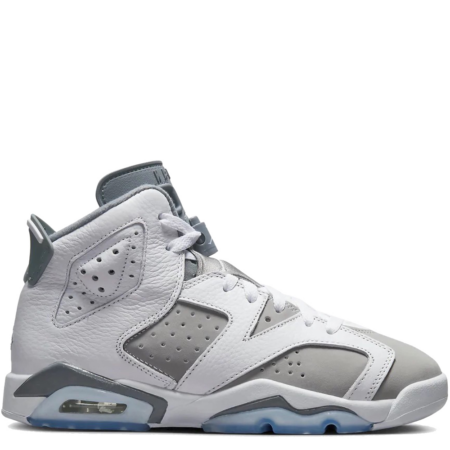 Air Jordan 6 Retro GS 'Cool Grey' (384665 100)