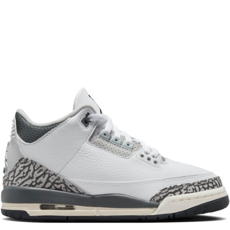 Air Jordan 3 Retro GS 'Hide N' Sneak' (DX6665 100)