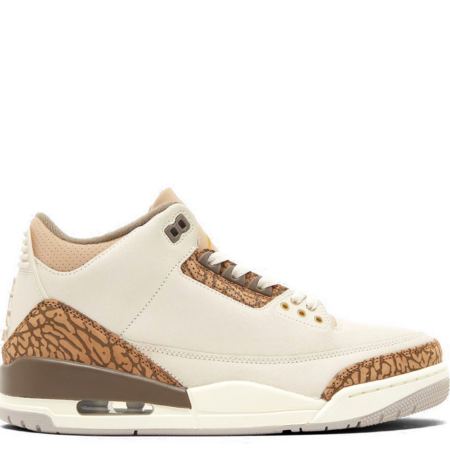 Air Jordan 3 Retro 'Palomino' (CT8532 102)