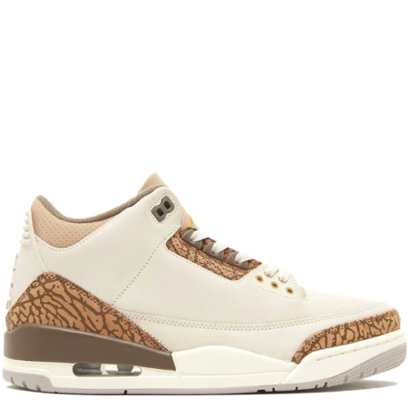 Air Jordan 3 Retro GS 'Palomino' (DM0967 102)