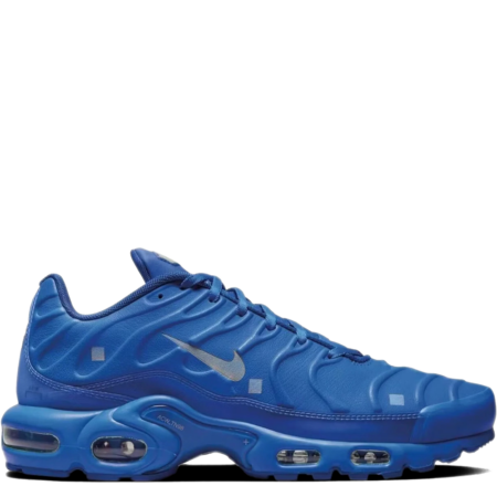 Nike Air Max Plus A-Cold-Wall 'Varsity Royal' (FD7855 400)