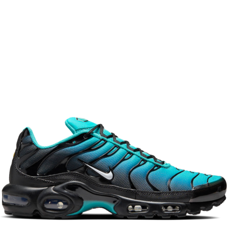 Nike Air Max Plus 'Light Retro' (DM0032 401)