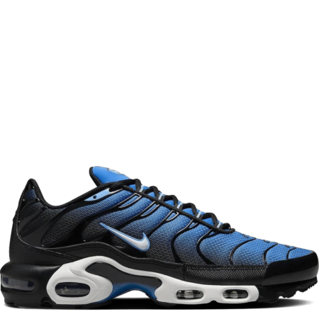 Nike Air Max Plus 'Aquarius Blue' (DM0032 402)