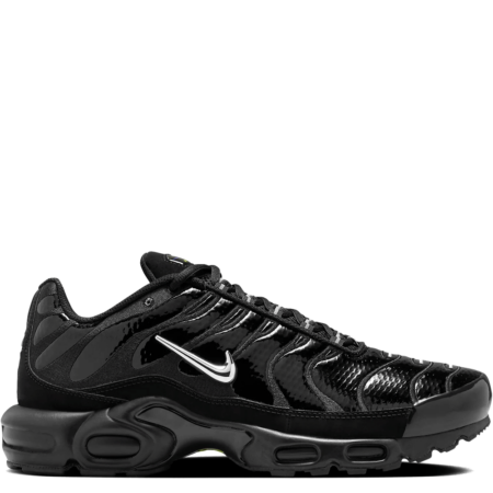 Nike Air Max Plus 'Black Chrome' (FJ2591 001)